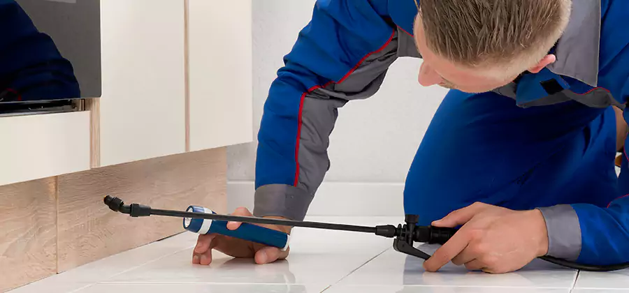 Moisture Treatment For Termite Control Service in Decatur
