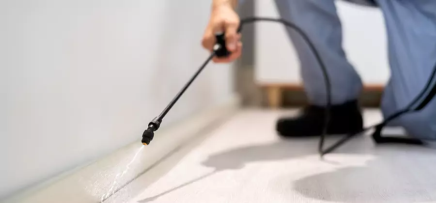 Direct Termite Injection Treatment in Decatur