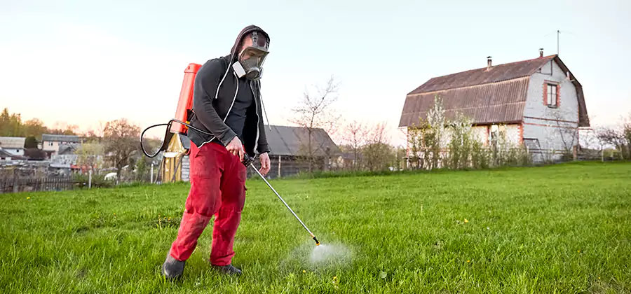 Flea and Tick Pest Control in Decatur