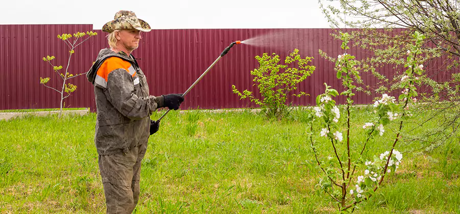 Flea and Tick Spray for Yard in Decatur