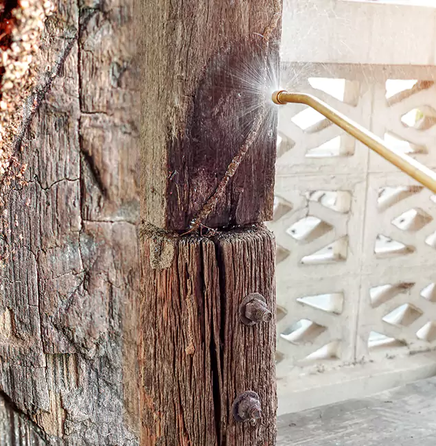 Why Choose Decatur Pest Control Pro for Attic Termite Treatment in Decatur, GA?