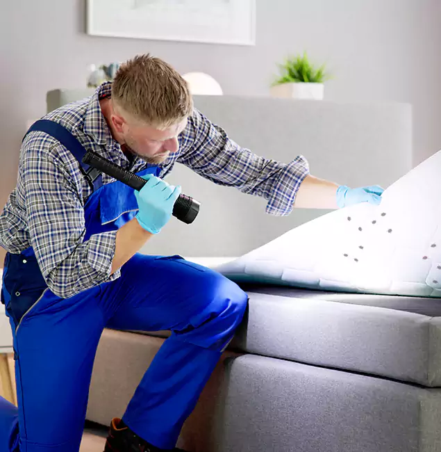 Why Choose Decatur Pest Control Pro For Bed Bug Heat Treatment in Decatur, GA?