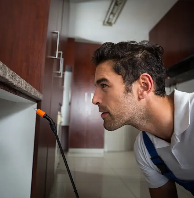 Why Choose Decatur Pest Control Pro for Bed Bug Removal Cost in Decatur, GA?
