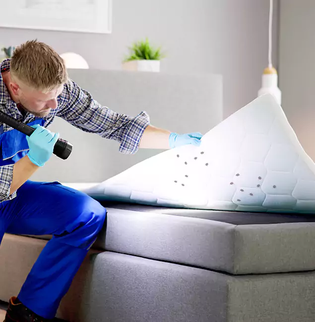 Why Choose Decatur Pest Control Pro in Decatur, GA?