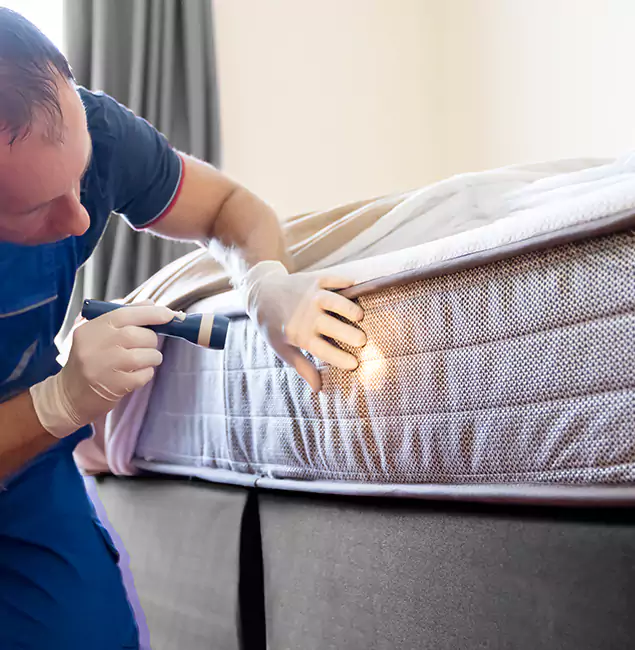Why Choose Decatur Pest Control Pro for Bed Bug Services in Decatur, GA?