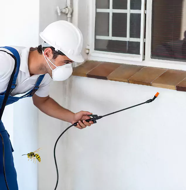 Why Decatur Property Owners Choose Decatur Pest Control Pro for Bee Nest Removal?