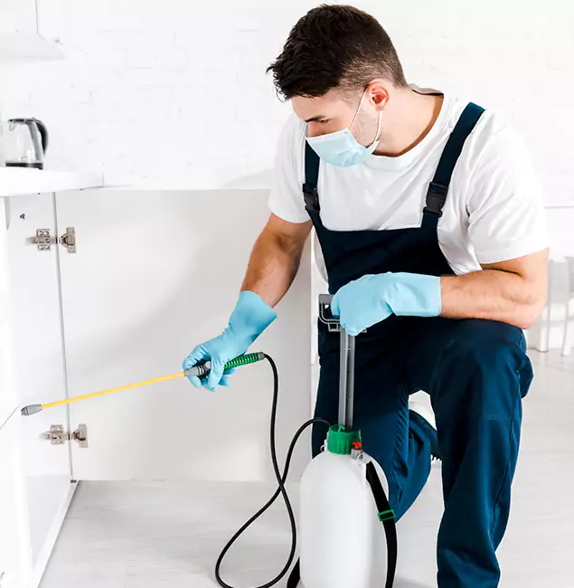 Why Choose Decatur Pest Control Pro for Emergency Pest Control in Decatur?