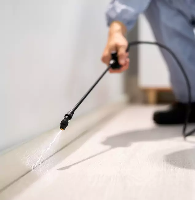 Why Choose Decatur Pest Control Pro for Termite Treatment in Decatur, GA?