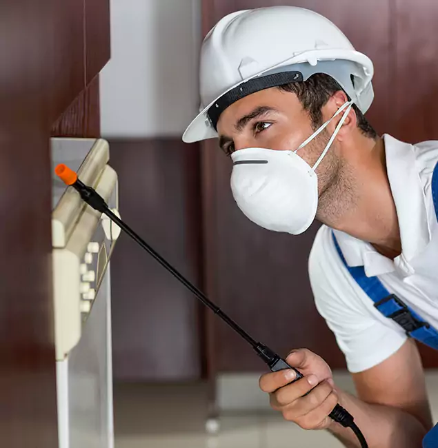 Why Decatur Homeowners Rely on Decatur Pest Control Pro for Tick Treatment?