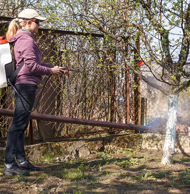 Why Decatur Homeowners Choose Decatur Pest Control Pro for Mosquito Abatement?