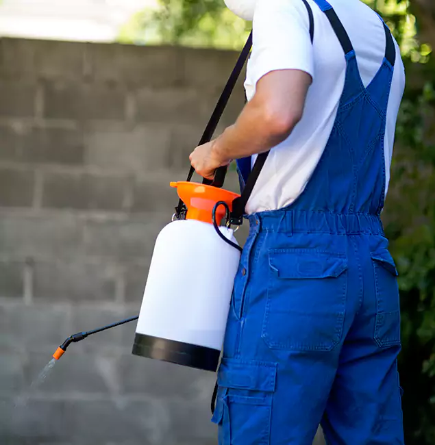 Why Decatur Homeowners Rely on Decatur Pest Control Pro for Mosquito Control?