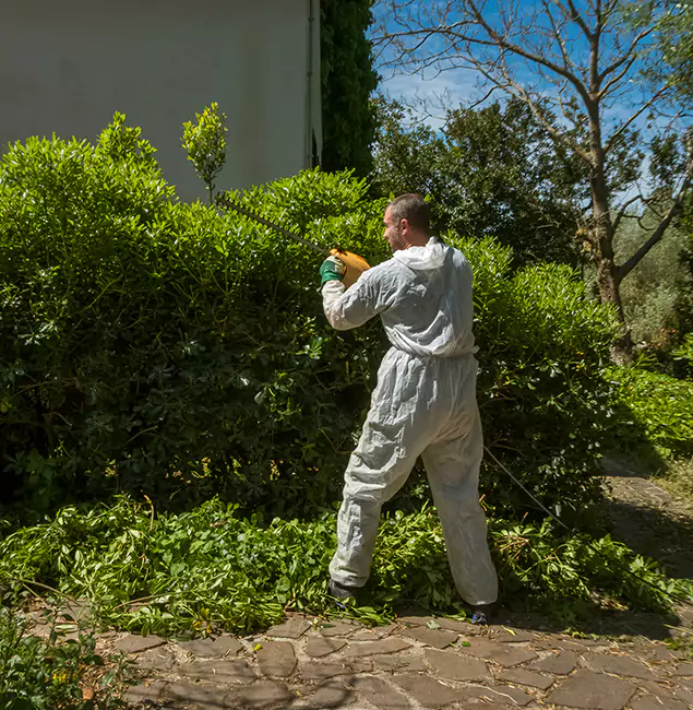 Why Decatur Pest Control Pro Leads Mosquito Control in Decatur, GA?