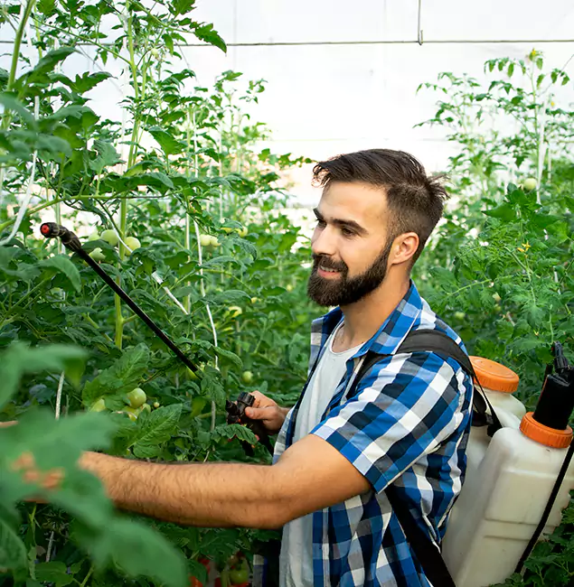 Why Decatur Homeowners Choose Decatur Pest Control Pro for Mosquito Spraying?