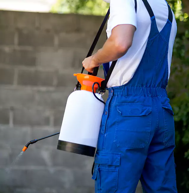Why Decatur Pest Control Pro Delivers the Best Mosquito Control in Decatur, GA?