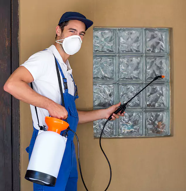 Why Decatur Pest Control Pro Provides the Best Mosquito Control for Yard Properties in Decatur, GA?
