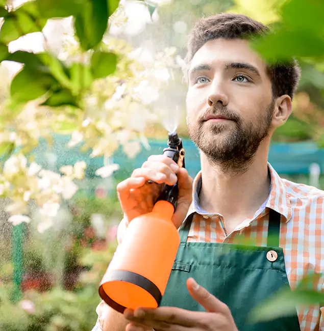 Why Decatur Homeowners Call Decatur Pest Control Pro for Mosquitoes in House?