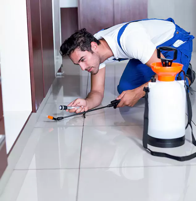 Why Decatur Pest Control Pro Is the Proven Choice in Decatur, GA?