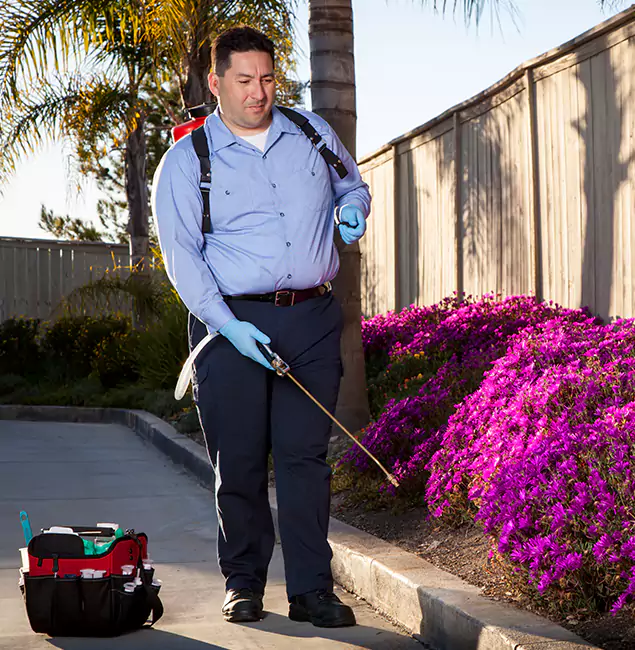 Why Choose Decatur Pest Control Pro in Decatur, GA?