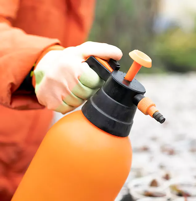 Why Choose Decatur Pest Control Pro for Orange Termite Treatment in Decatur, GA?