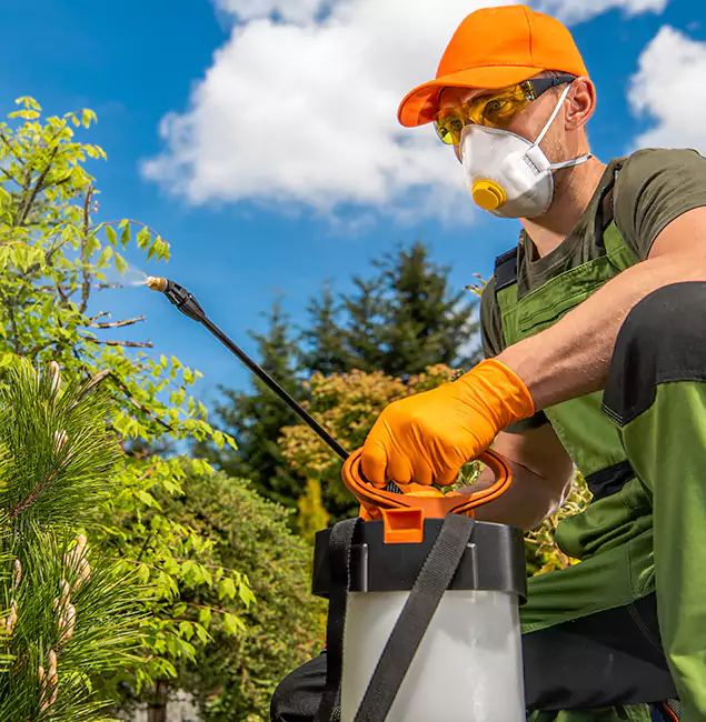 Why Choose Decatur Pest Control Pro for Outdoor Pest Control in Decatur, GA?