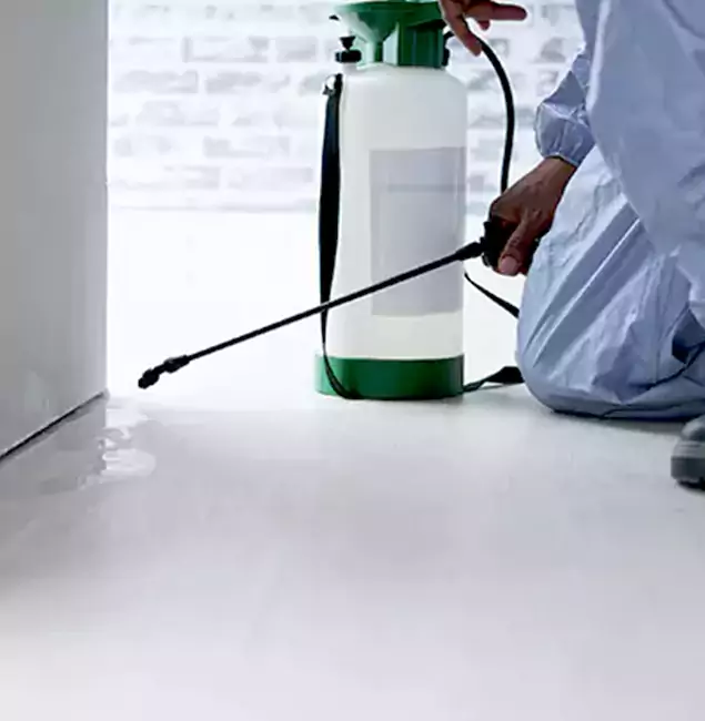Why Choose Decatur Pest Control Pro for Rat Exterminator in Decatur, GA?