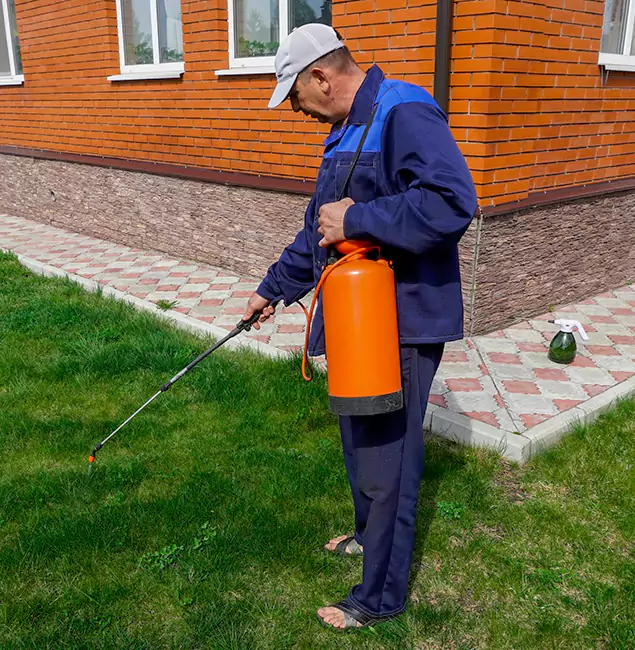 Why Choose Decatur Pest Control Pro for Residential Pest Control in Decatur, GA?