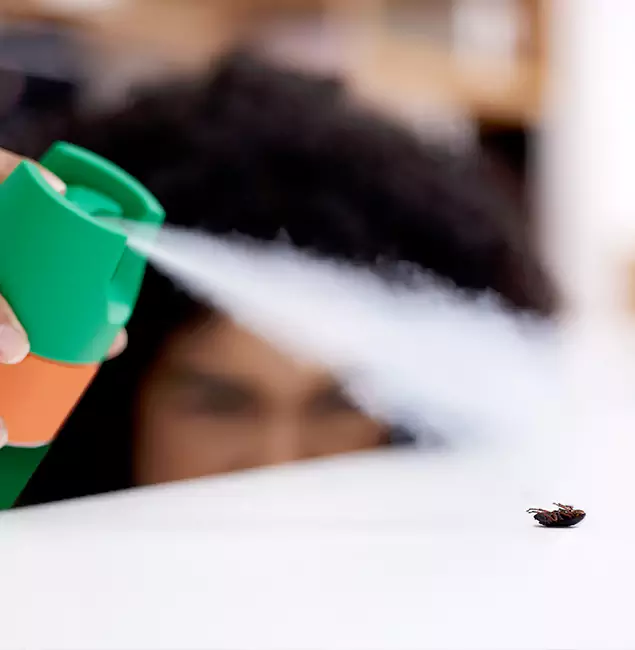 Why Decatur, GA Homeowners Choose Decatur Pest Control Pro for Roach Pest Control?