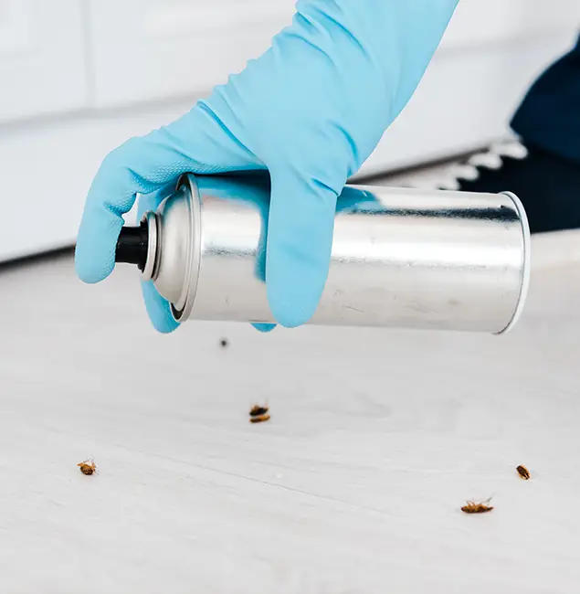Why Choose Decatur Pest Control Pro for Safe Bed Bug Treatment in Decatur, GA?