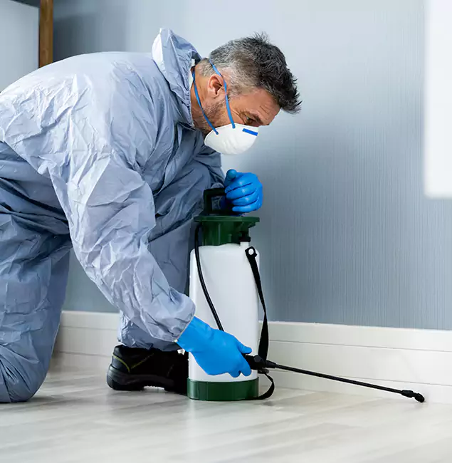 Why Choose Decatur Pest Control Pro for Subterranean Termites Treatment in Decatur, GA?