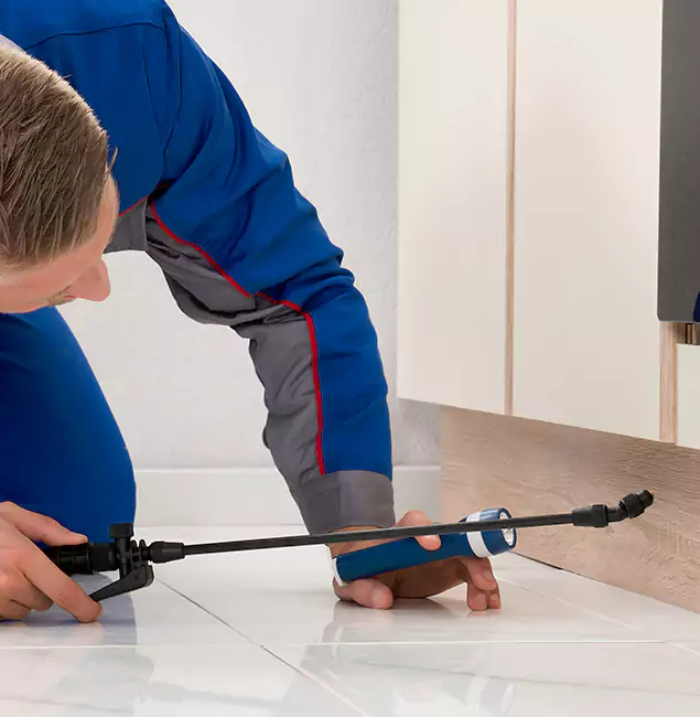 Why Decatur Residents Choose Decatur Pest Control Pro to Get Rid of Sugar Ants?