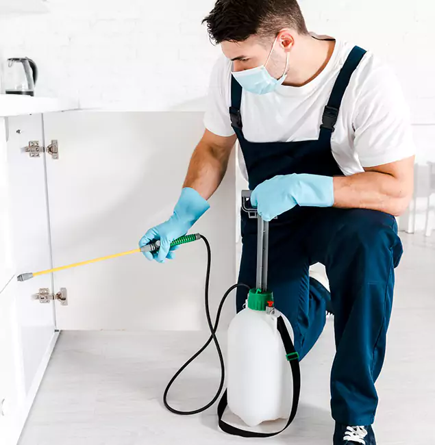 Why Choose Decatur Pest Control Pro for Termite Spot Treatment in Decatur, GA?