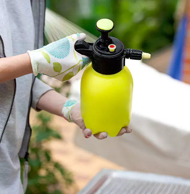 Why Choose Us: Decatur Pest Control Pro Termite Spraying Experts in Decatur, GA?