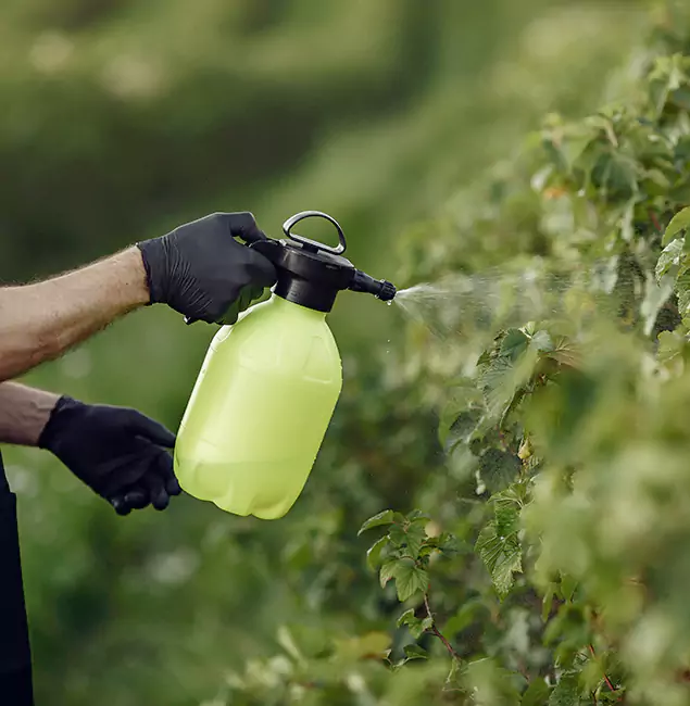 Why Decatur Homeowners Choose Decatur Pest Control Pro for Yard Tick Treatment?