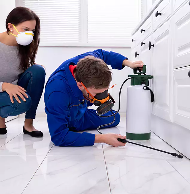 Why Choose Wood Termite Treatment by Decatur Pest Control Pro in Decatur, GA?