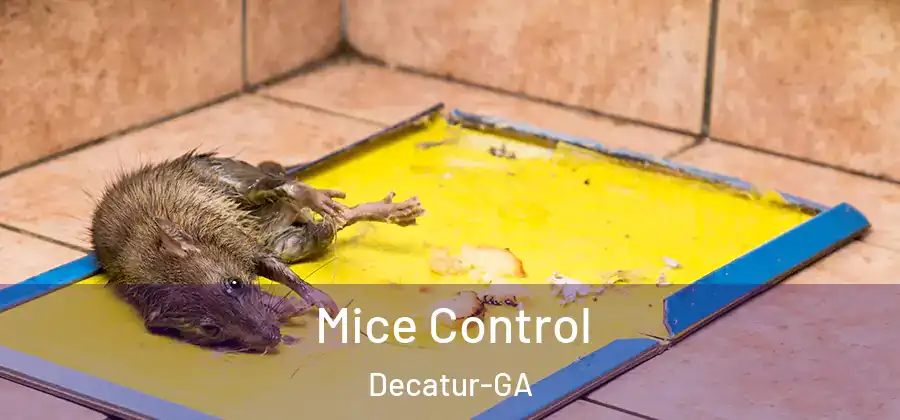 Mice Control Decatur-GA