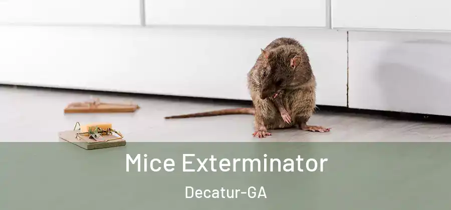 Mice Exterminator Decatur-GA