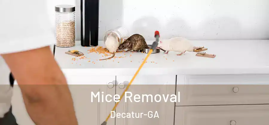  Mice Removal Decatur-GA