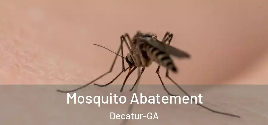 Mosquito Abatement Decatur-GA