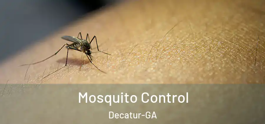 Mosquito Control Decatur-GA