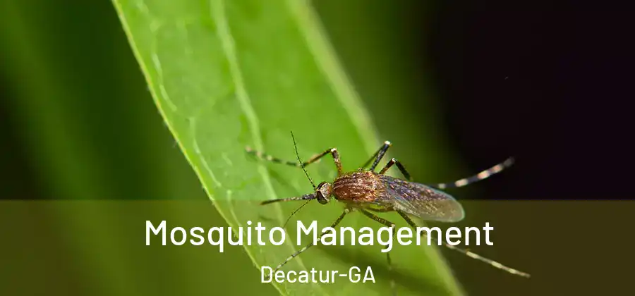  Mosquito Management Decatur-GA