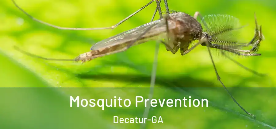 Mosquito Prevention Decatur-GA