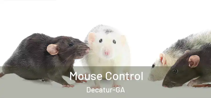 Mouse Control Decatur-GA