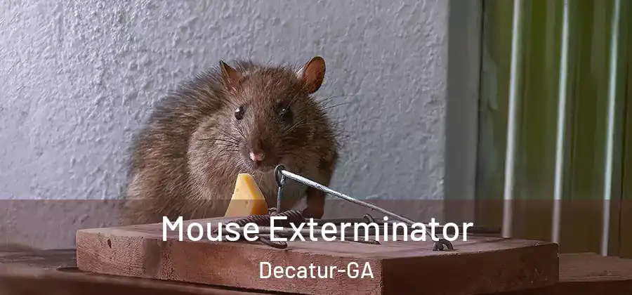 Mouse Exterminator Decatur-GA