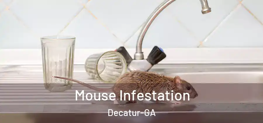 Mouse Infestation Decatur-GA