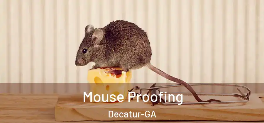 Mouse Proofing Decatur-GA