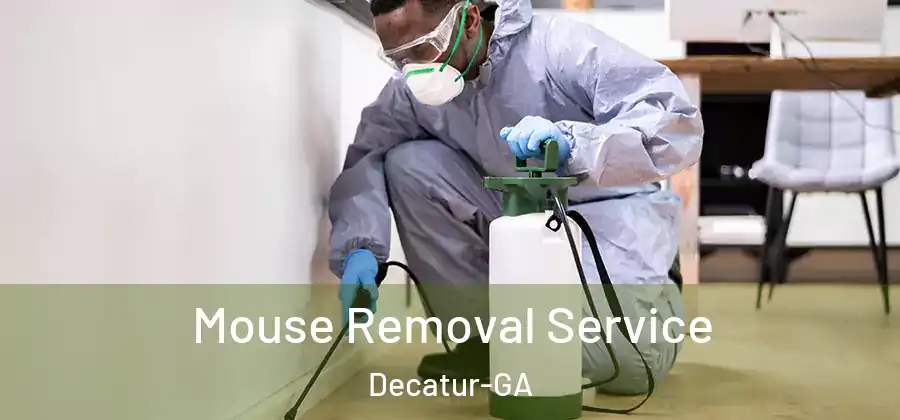 Mouse Removal Service Decatur-GA