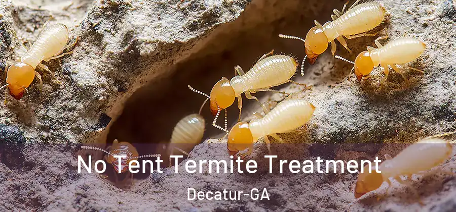 No Tent Termite Treatment Decatur-GA