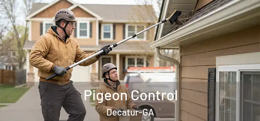 Pigeon Control Decatur-GA