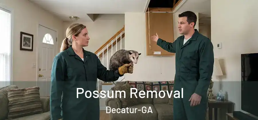  Possum Removal Decatur-GA