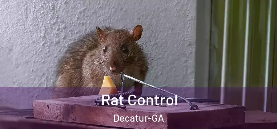 Rat Control Decatur-GA